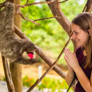 Monkey Sloth Hangout Roatan Honduras