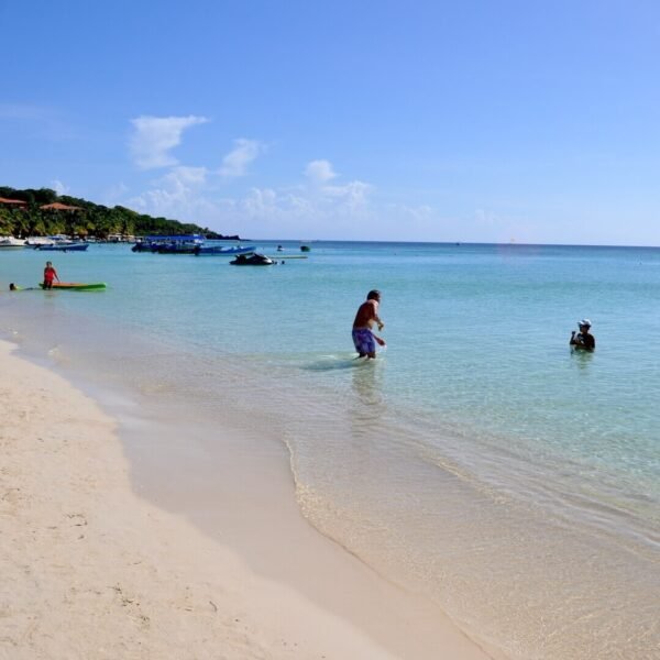 Roatan Sloth Tours Beach Day Pass