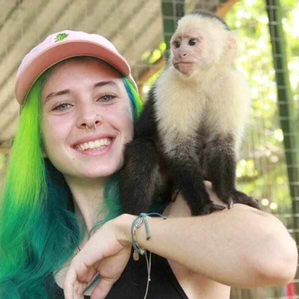 Roatan Sloth Tours Monkey Interaction