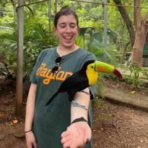 Roatan Sloth Tours Toucan Bird