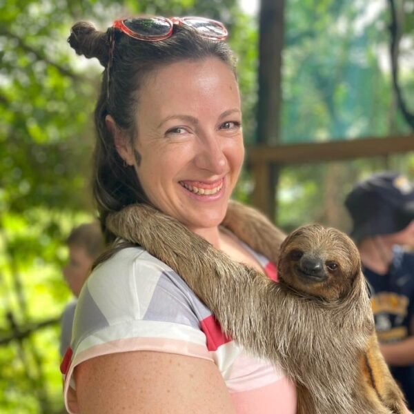 hold sloth roatan honduras