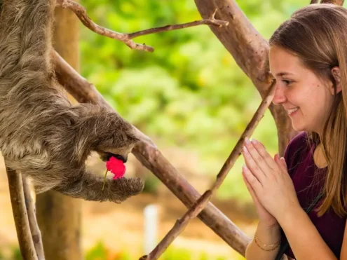 Monkey Sloth Hangout Roatan Honduras