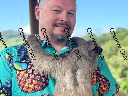 {{brizy_dc_image_alt entityId=